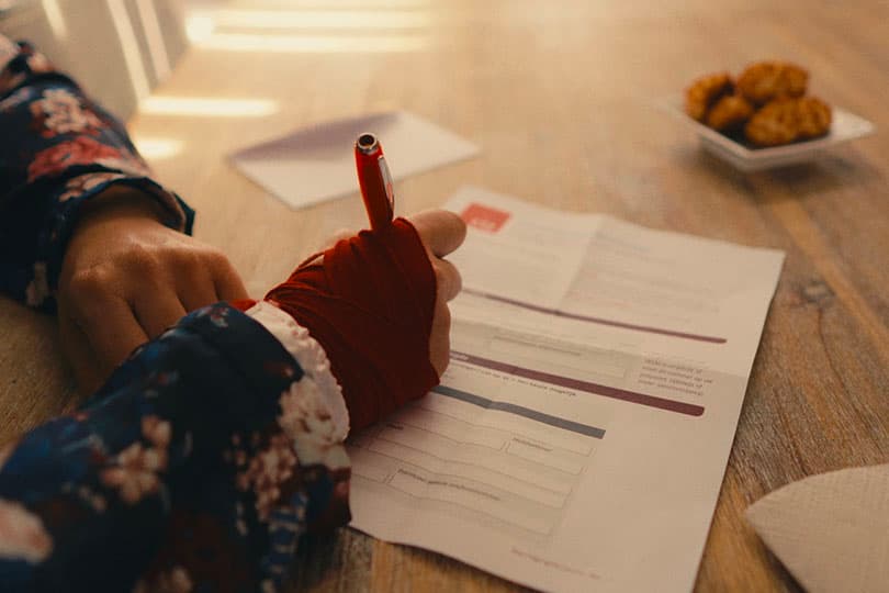 Gemeente Zaltbommel gallery image 1