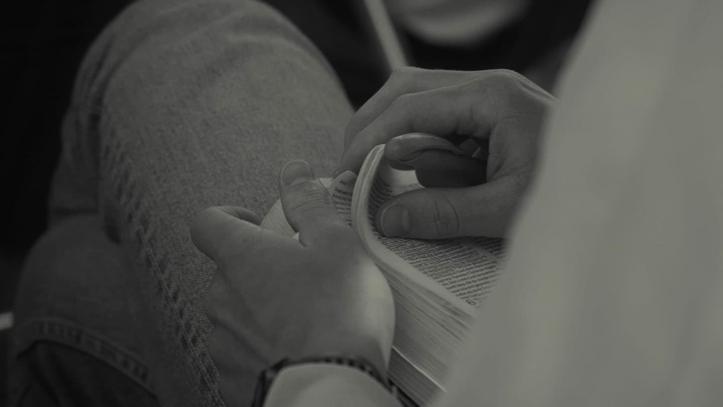 Navigators gallery image 1